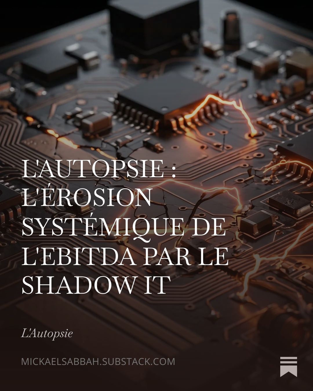 L'Érosions Systémique de l'EBITDA par le Shadow IT